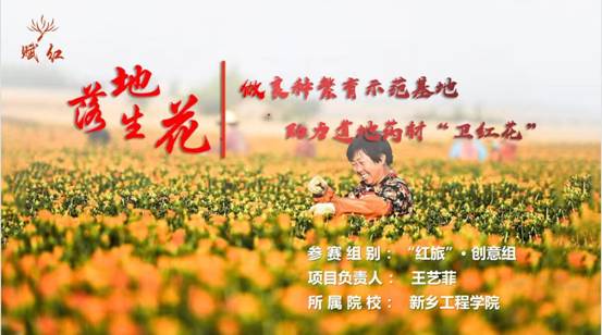 落地生花-做良种繁育示范基地，助力道地药材“卫红花”PPT首页
